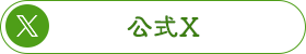 公式X