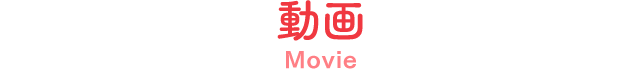 動画