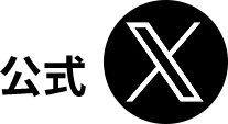 公式X