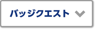 バッジクエスト