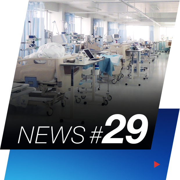 NEWS #29