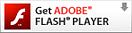 Get ADOBE FLASH PLAYER