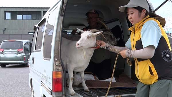 熱烈的中華飯店 - フジテレビ