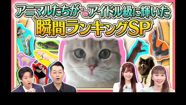 HEY！HEY！HEY！ - フジテレビ