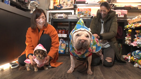 セリエa中継ミランvsインテル フジテレビ セリエa中継ミランvsインテル フジテレビ