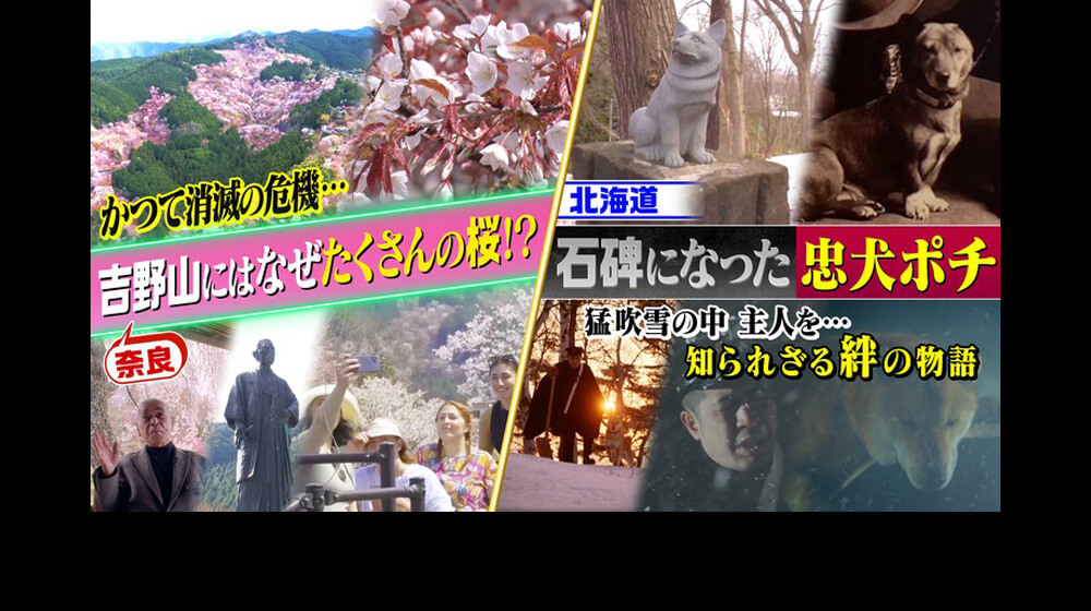 スゴ過ぎる!おバカ映画の世界!!―アリコンが選ぶ爆笑のバカデミー