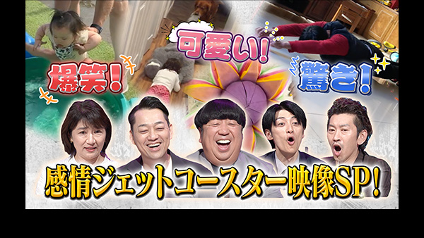 6172 ばん - めざましテレビ｜きょうのわんこ - フジテレビ