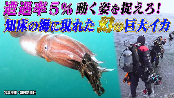SMAP×SMAPへのメッセージ - フジテレビ
