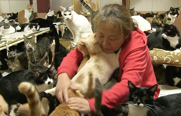 「犬猫みなしご救援隊」代表・中谷百里さんと猫たち