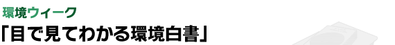 環境ウィーク 「目で見てわかる環境白書」