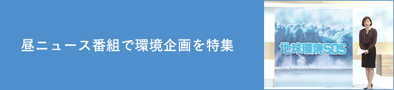 昼ニュース番組で環境企画を特集