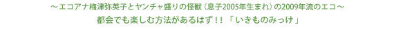 ～エコアナ梅津弥英子とヤンチャ盛りの怪獣（息子2005年生まれ）の2009年流のエコ～　都会でも楽しむ方法があるはず！！「いきものみっけ」