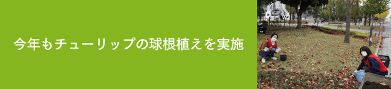 今年もチューリップの球根植えを実施