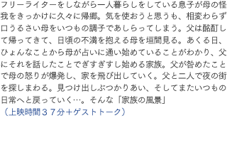 フリーライターをしながら一人暮らしをしている息子が母の怪我をきっかけに久々に帰郷。気を使おうと思うも、相変わらず口うるさい母をいつもの調子であしらってしまう。父は酩酊して帰ってきて、日頃の不満を抱える母を垣間見る。あくる日、ひょんなことから母が占いに通い始めていることがわかり、父にそれを話したことでぎすぎすし始める家族。父が咎めたことで母の怒りが爆発し、家を飛び出していく。父と二人で夜の街を探しまわる。見つけ出しぶつかりあい、そしてまたいつもの日常へと戻っていく…。そんな「家族の風景」