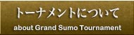 大相撲トーナメントについて