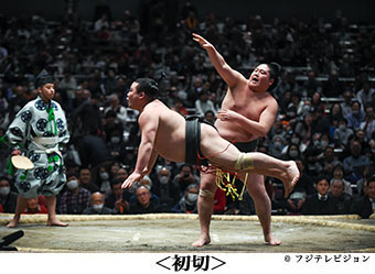 日本大相撲トーナメント公式サイト 日本大相撲トーナメント公式サイト