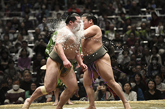 日本大相撲トーナメント