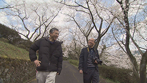 春を迎え満開の桜を楽しむ大塚昌司さんと岡澤志朗さん