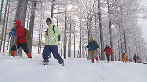 雪山歩きの様子