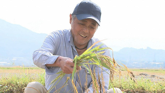 被災地に実りの秋が訪れた