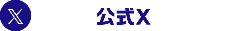 公式X