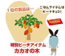 NX}X[XLv`