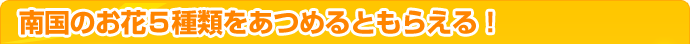 썑̂ԂTނ߂Ƃ炦I