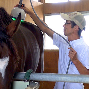 塩見覚調教助手