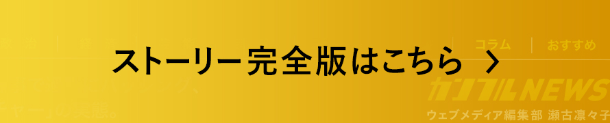 ストーリー完全版はこちら