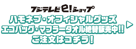 ハモネプ・オフィシャルグッズ！エコバッグ・マフラータオル絶賛販売中!!ご注文はコチラ！