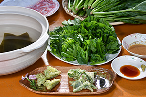 高原ほうれん草