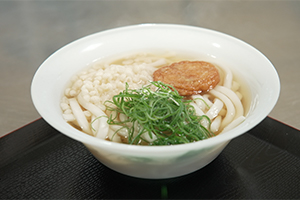 桜島フェリーのうどん