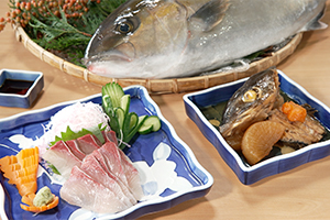 垂水カンパチ