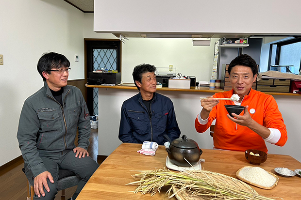 元カメラマンが初めて収穫したヒノヒカリ