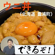 ウニ丼