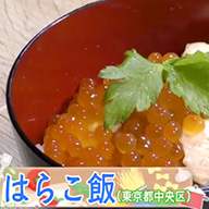 はらこ飯