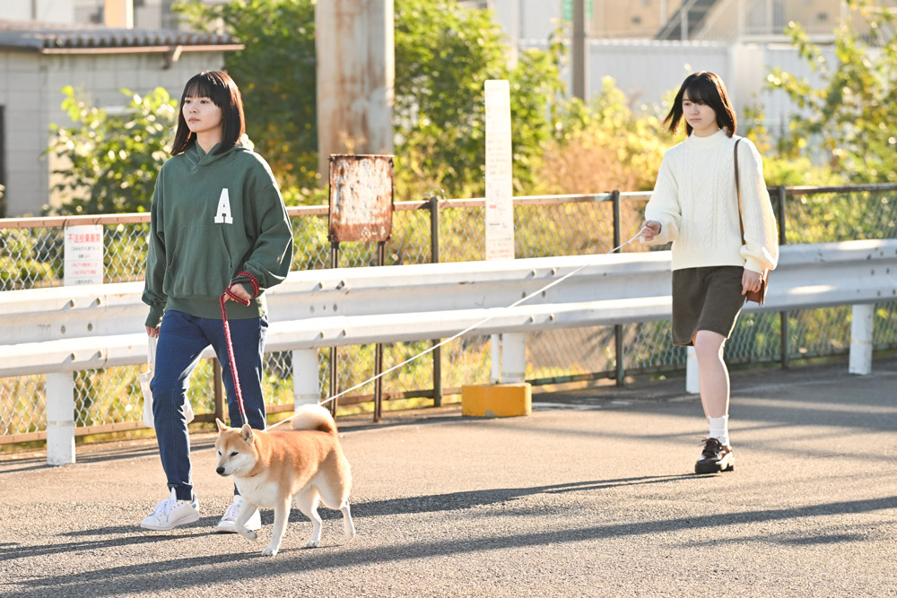 今日のさんぽんた 第７話 W散歩／どんぐりプロ／勉強中