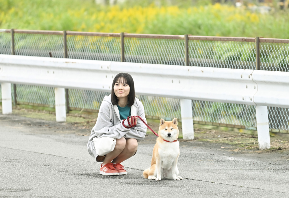今日のさんぽんた Introduction