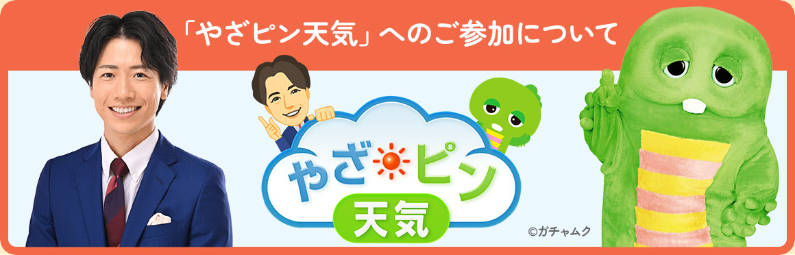 やざ☀ピン天気