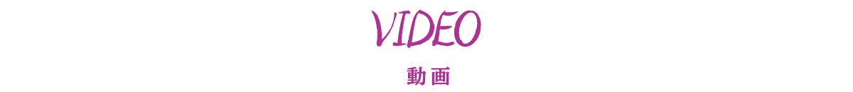 VIDEO 動画