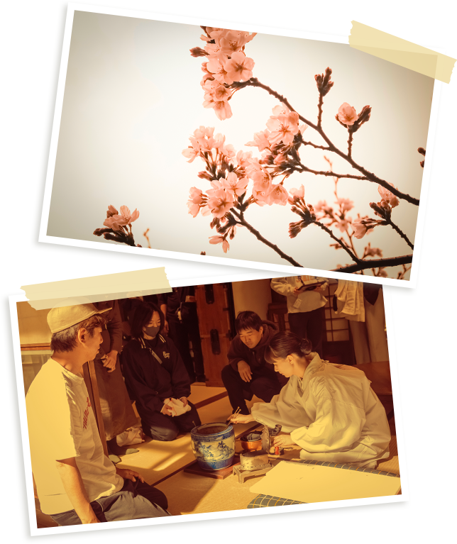 芳根京子さん