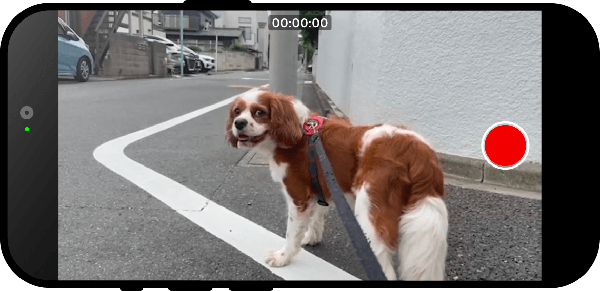 画面キャプチャ