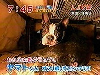 2007N 傤̂񂱑 ʐ^