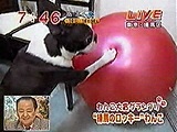 2007N 傤̂񂱑 ʐ^3