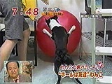 2007N 傤̂񂱑 ʐ^5
