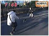 2008N 傤̂񂱑 ʐ^2