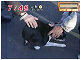 2008N 傤̂񂱑 ʐ^3