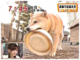 2009N 傤̂񂱑 ʐ^2