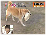 2009N 傤̂񂱑 ʐ^3