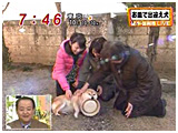 2009N 傤̂񂱑 ʐ^4
